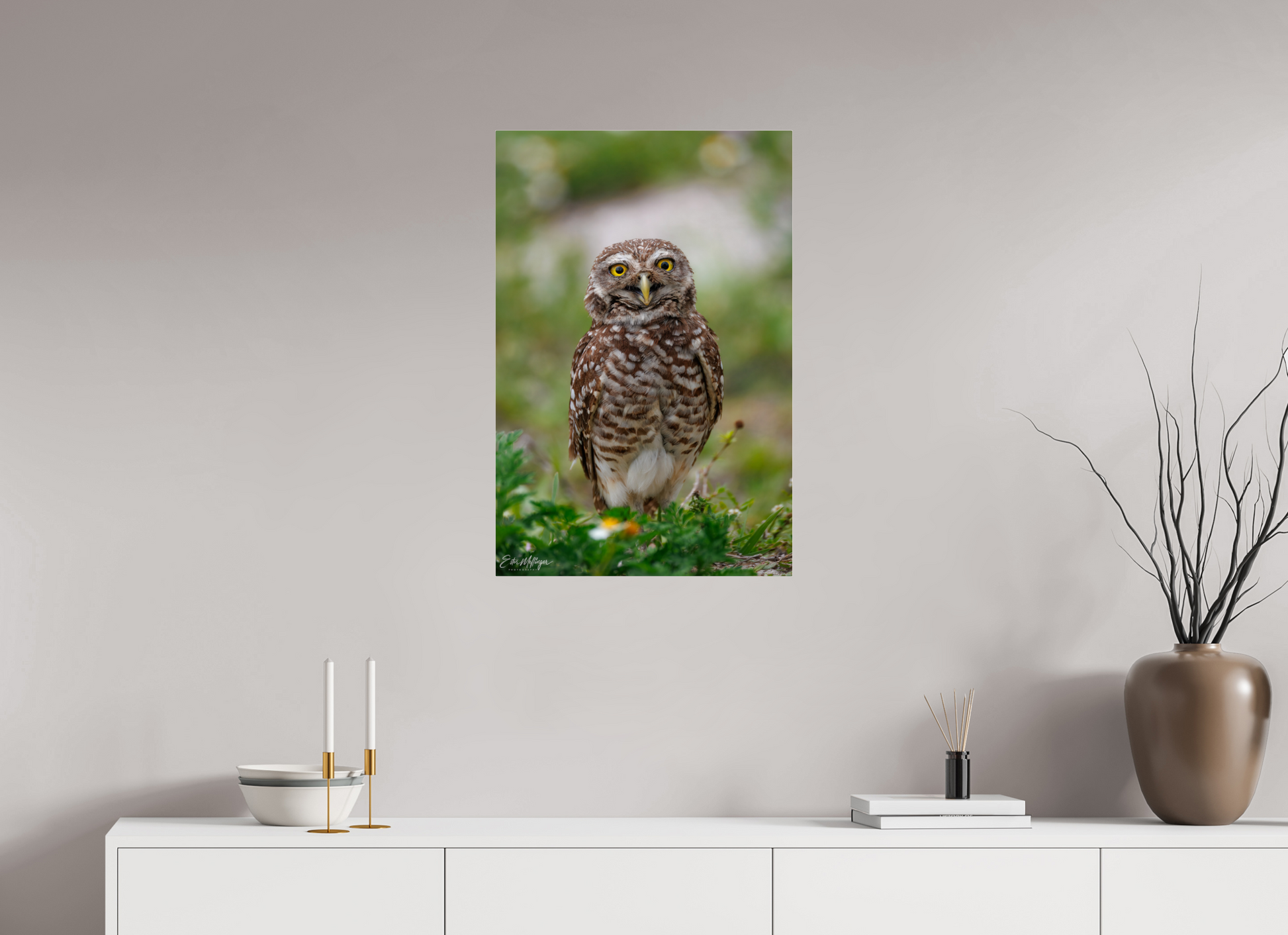 20 x 30″, Acrylic "Wide-Eyed Wonder" - Burrowing Owl