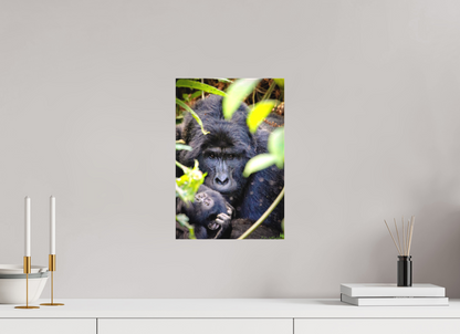 Silverback with his baby