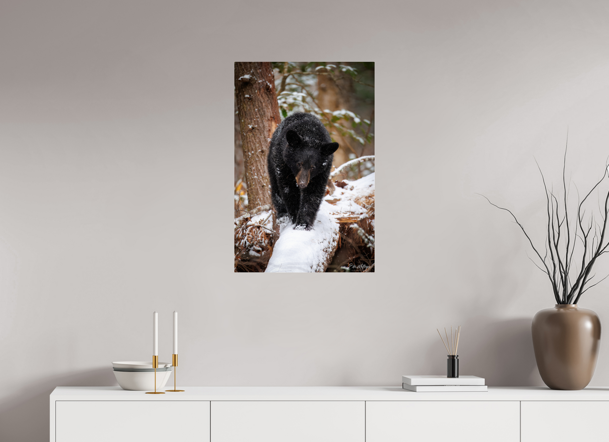 20 x 30″, Acrylic "Little Snow Walker" - Black Bear