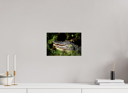 12 x 8″, Acrylic "At the Water's Edge" - American Alligator