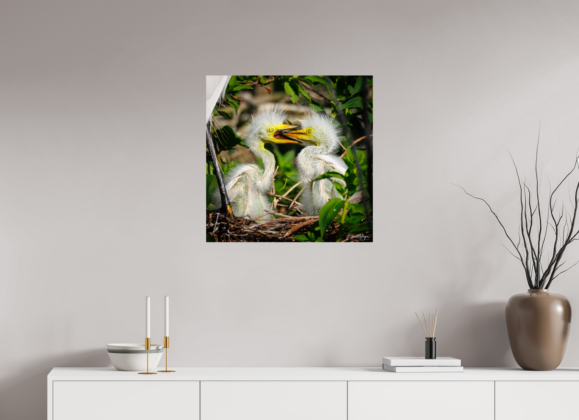 25 x 25″, Metal "Fluffy Dinosaurs" - Baby Great Egrets