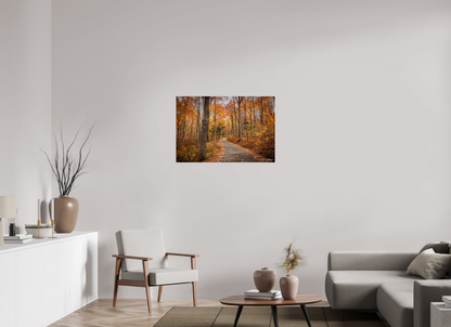 36 x 24″, Acrylic "Golden Path" - Roaring Fork Road