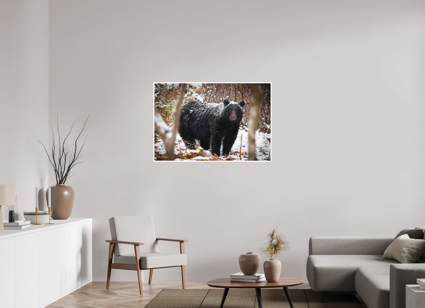 45 x 30″, Fine art print "Winter Watcher" - Black Bear