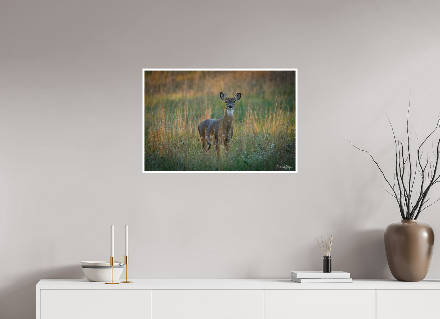 30 x 20″, Fine art print "Grace in the Meadow" - White-tailed Doe