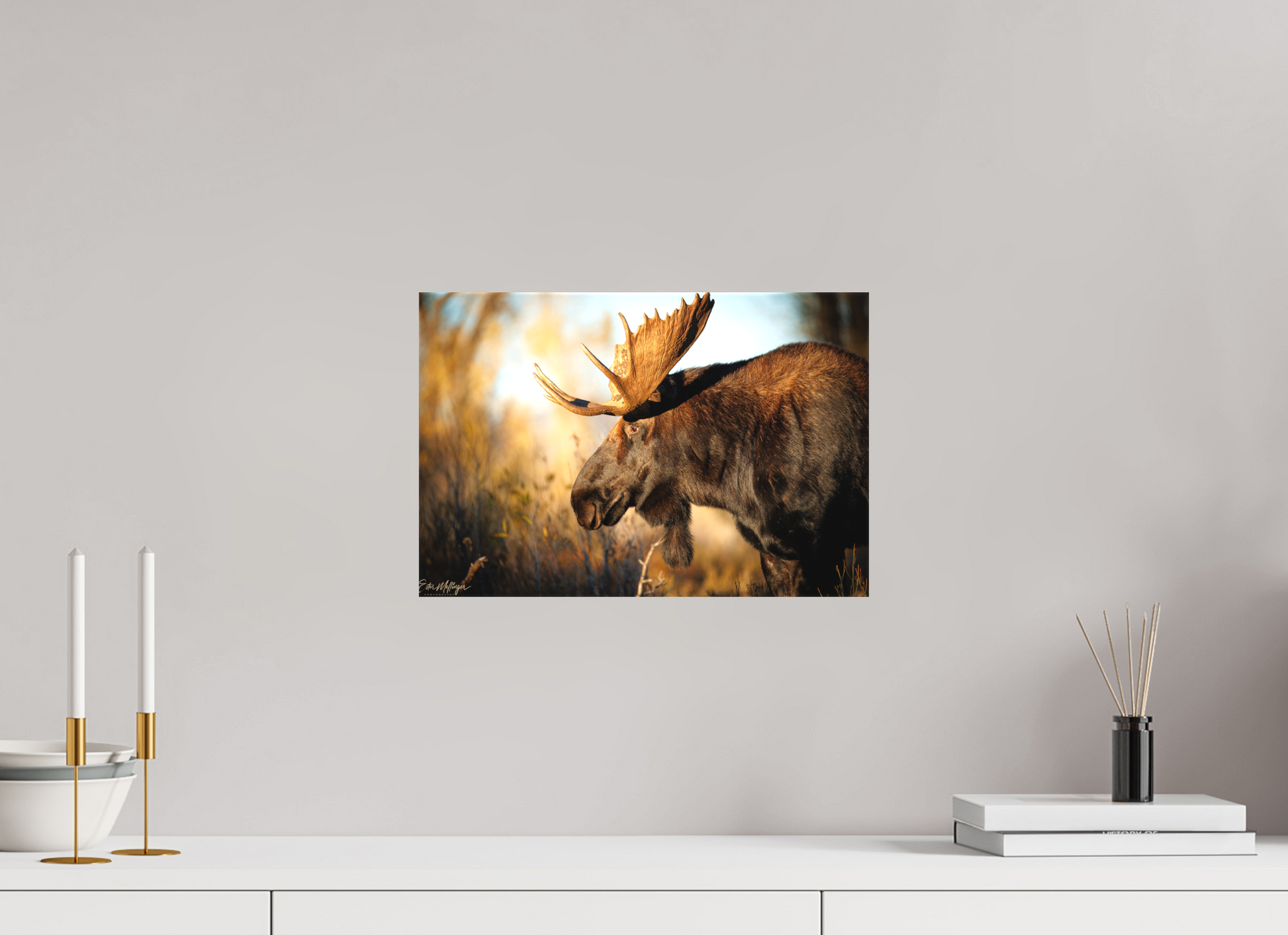 15 x 10″, Canvas "Monarch of Gros Ventre - In His Eyes"