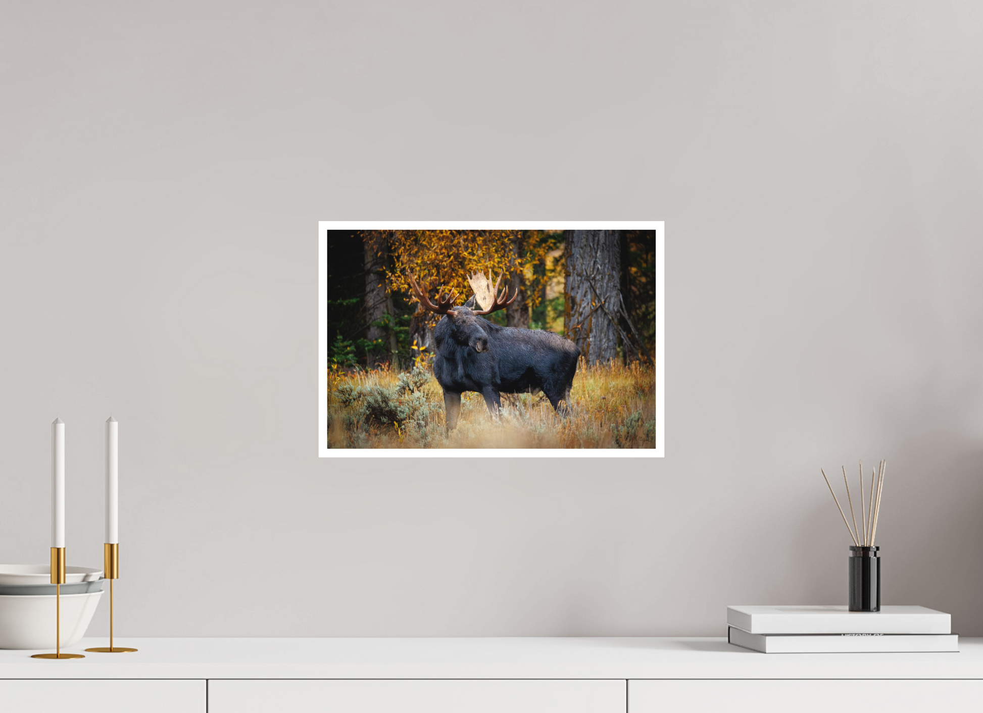 15 x 10″, Fine art print "Guardian of the Gros Ventre" - Bull moose