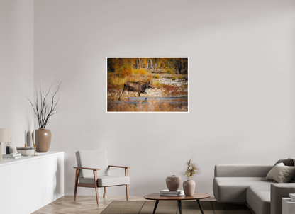 45 x 30″, Fine art print "Grace of Gros Ventre" - Moose