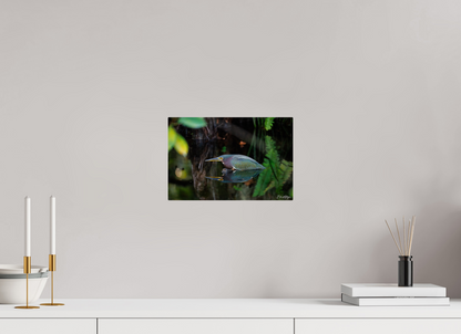 12 x 8″, Metal "Reflections in the Cypress" - Green Heron