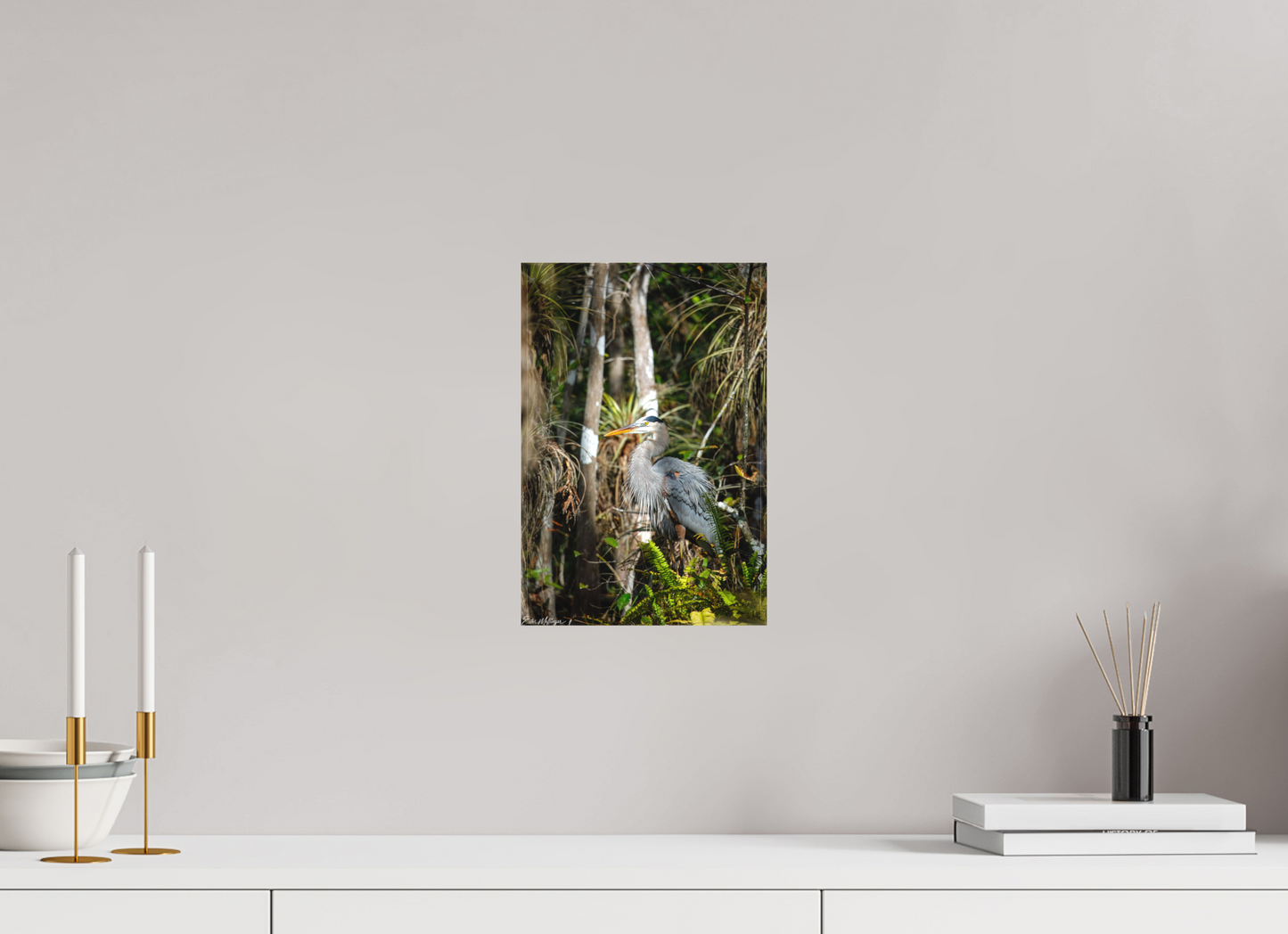 8 x 12″, Canvas "Swamp Sentinel" - Great Blue Heron