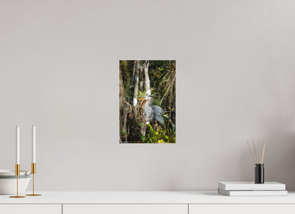 8 x 12″, Canvas "Swamp Sentinel" - Great Blue Heron