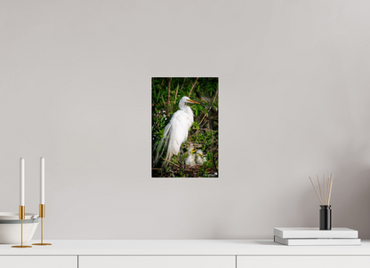 Great egret with chicks