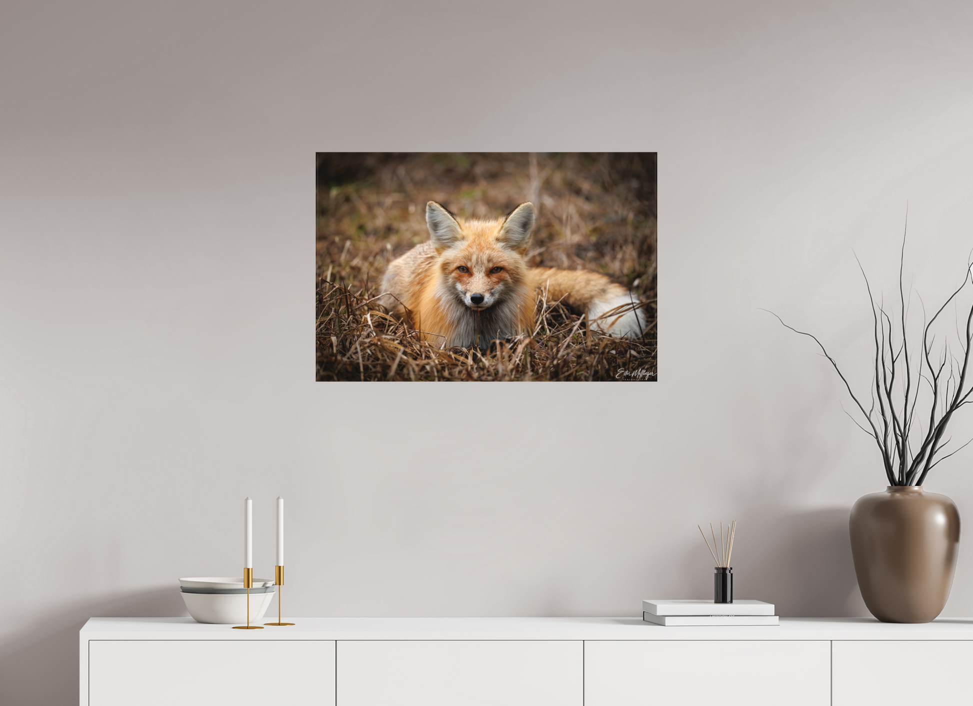 30 x 20″, Canvas "Resting Ember" - Red Fox