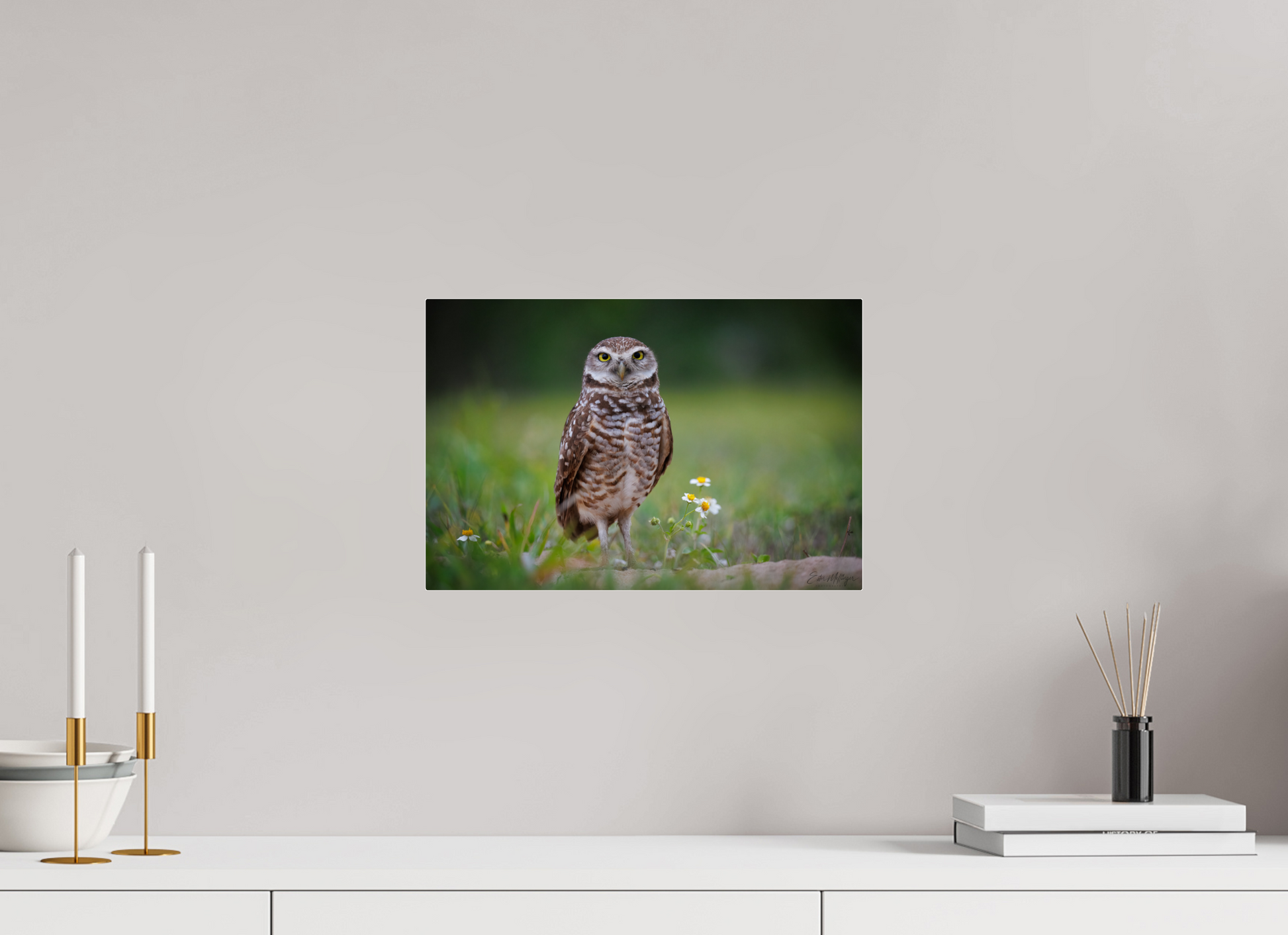 15 x 10″, Acrylic "The Watcher" - Burrowing Owl