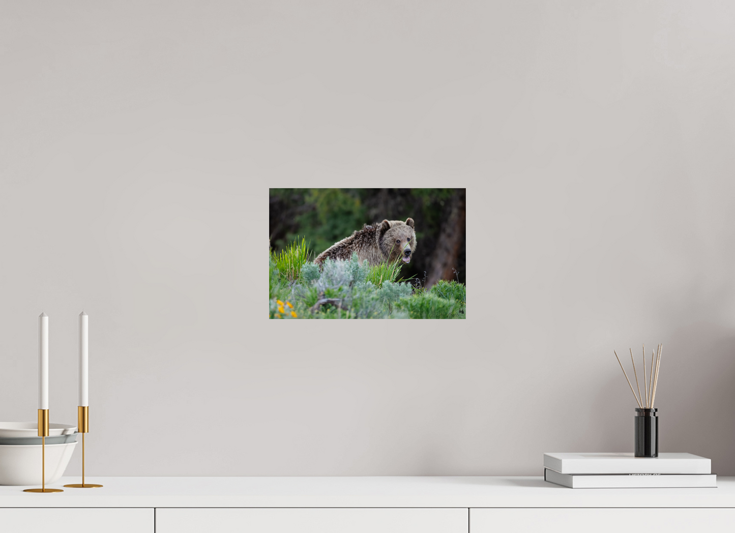 Yawning bear