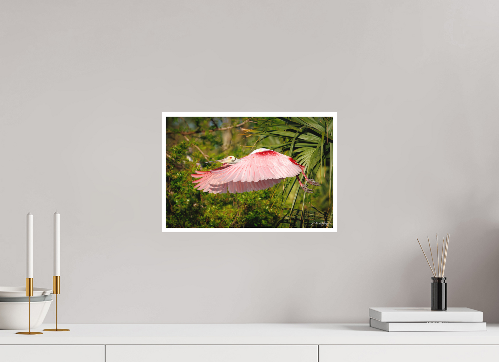15 x 10″, Fine art print "Pink Passage" - Roseate Spoonbill