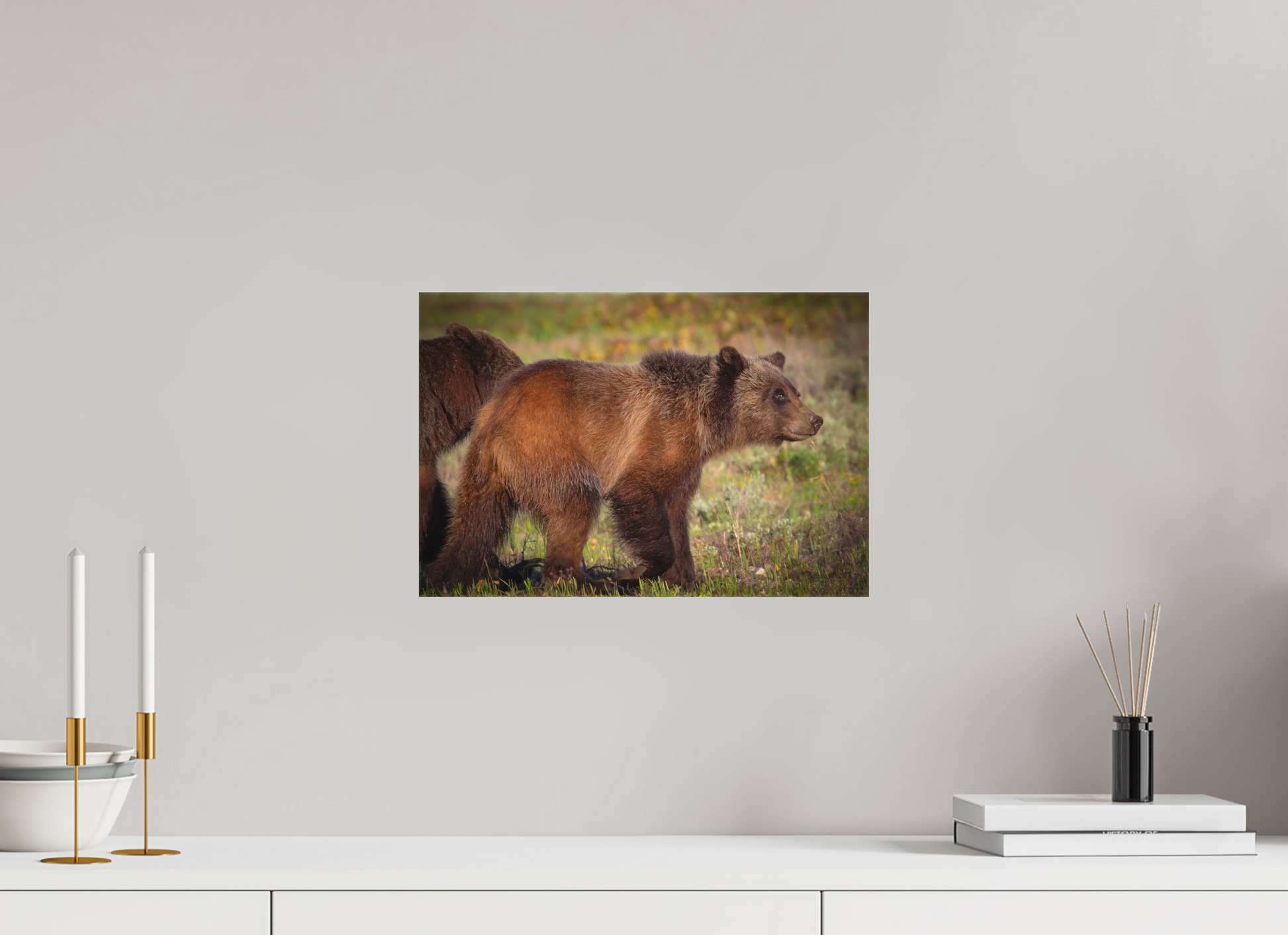 15 x 10″, Canvas "Sage Wander" - Grizzly bear