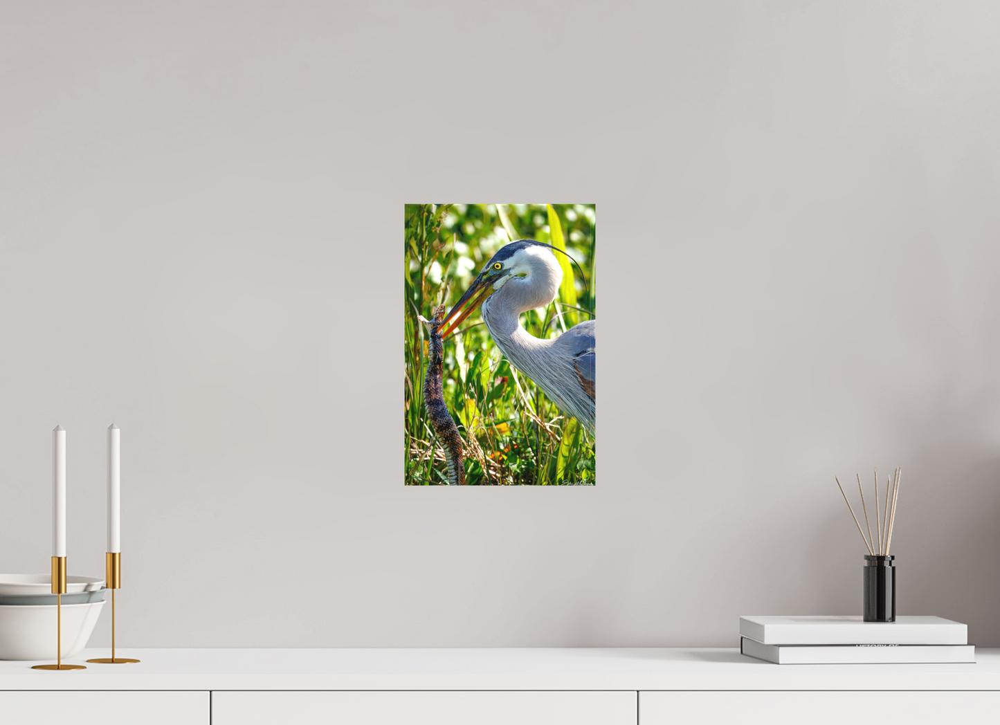 8 x 12″, Canvas "The Hunt in the Marsh" - Great Blue Heron