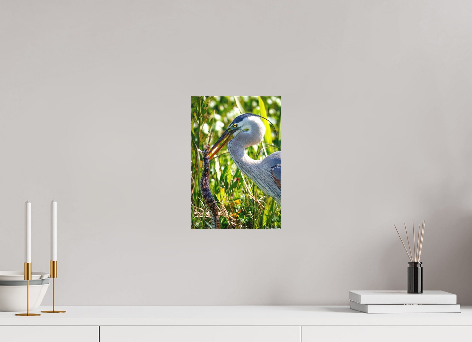 8 x 12″, Canvas "The Hunt in the Marsh" - Great Blue Heron