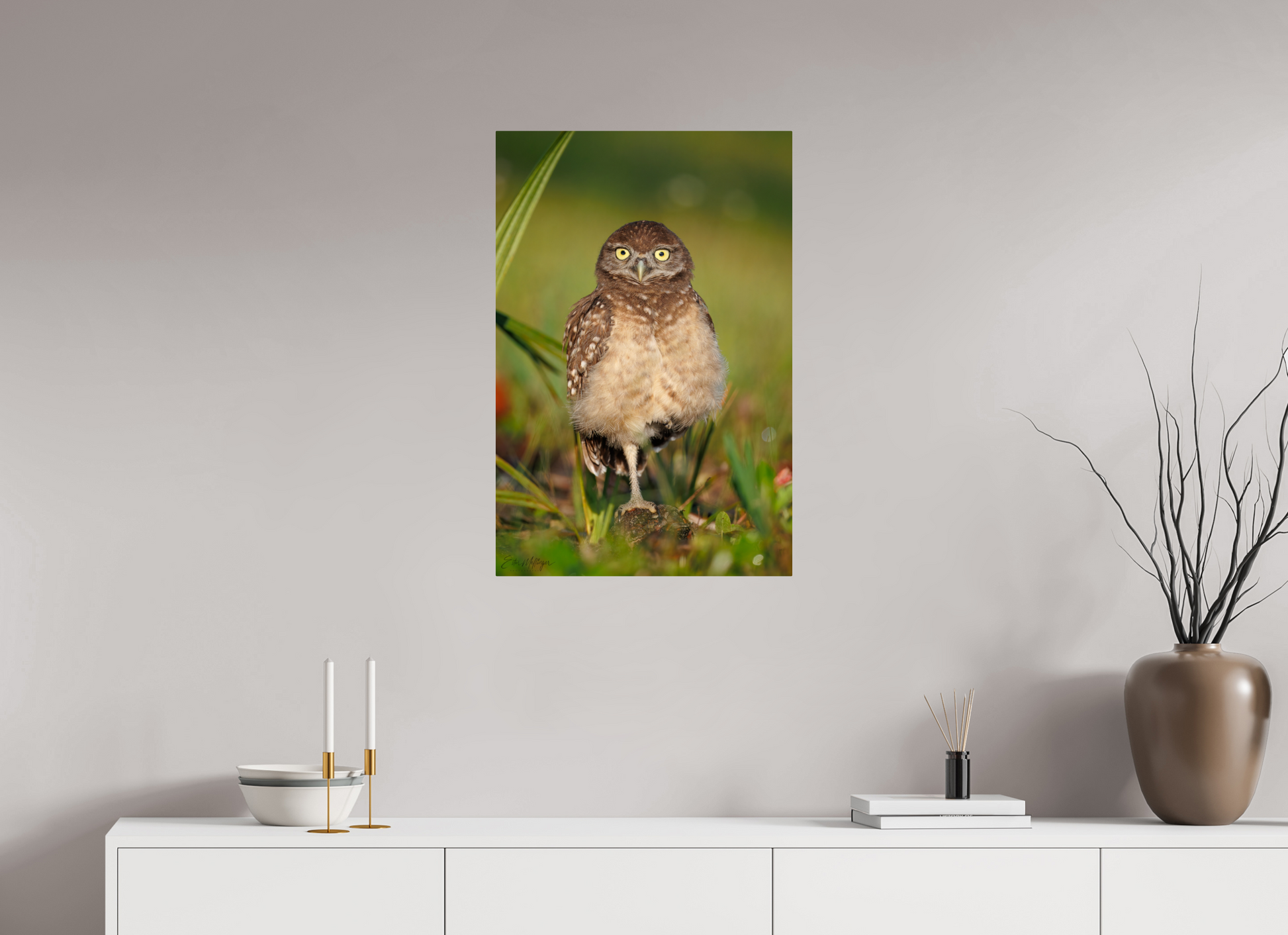 20 x 30″, Metal "Little Lookout" - Burrowing owlet