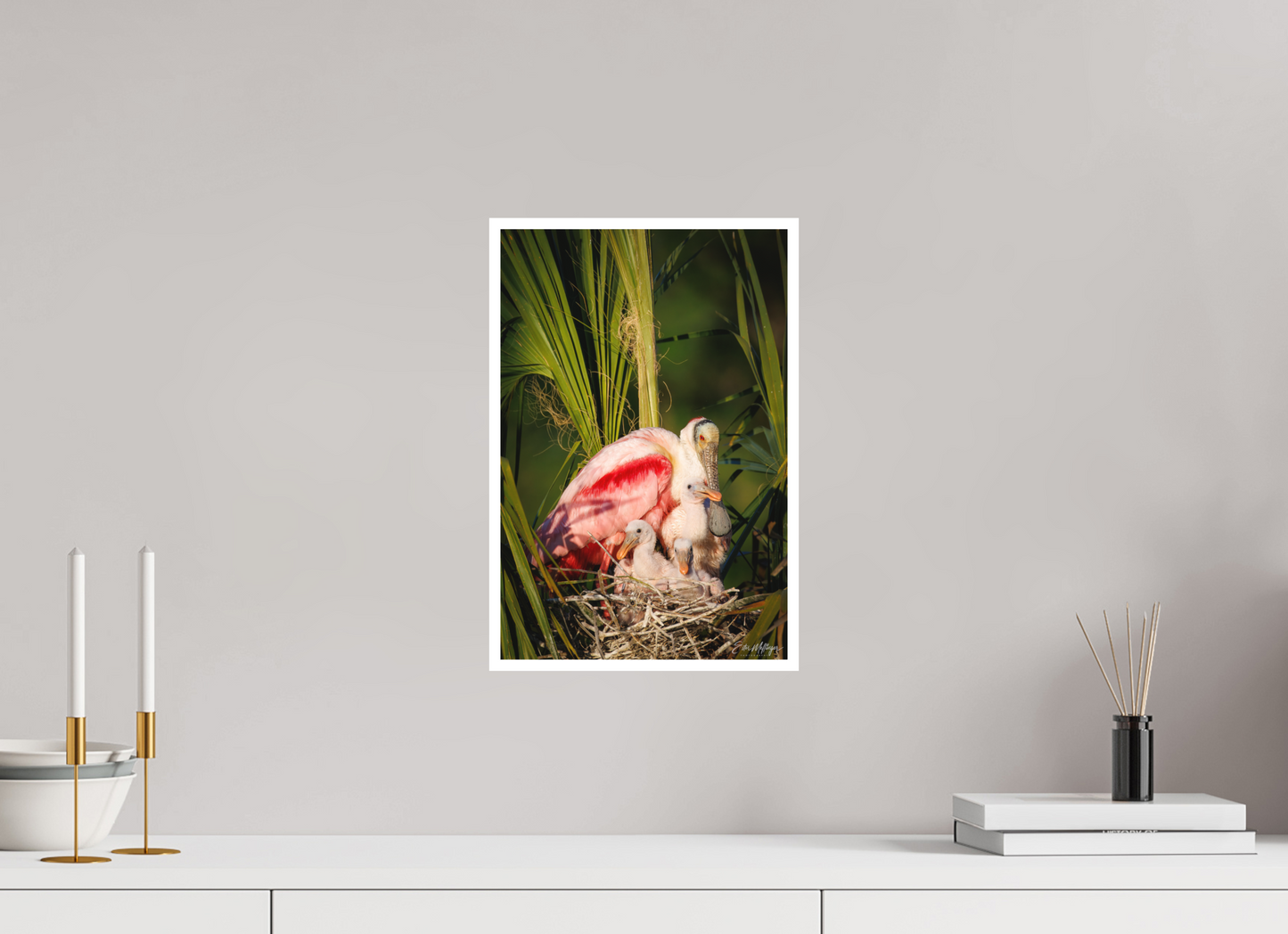 10 x 15″, Fine art print "Golden Hour Nest" - Spoonbills