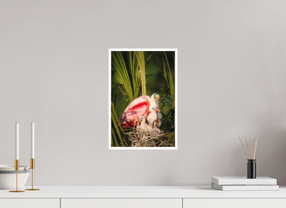 10 x 15″, Fine art print "Golden Hour Nest" - Spoonbills