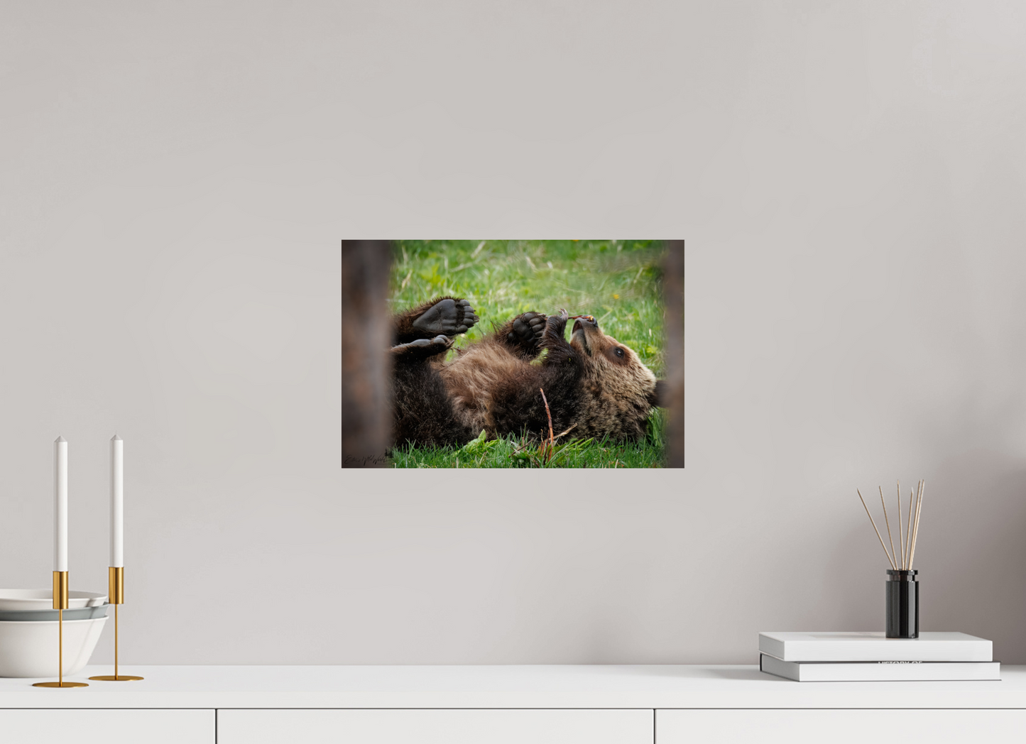 Bear smelling flower