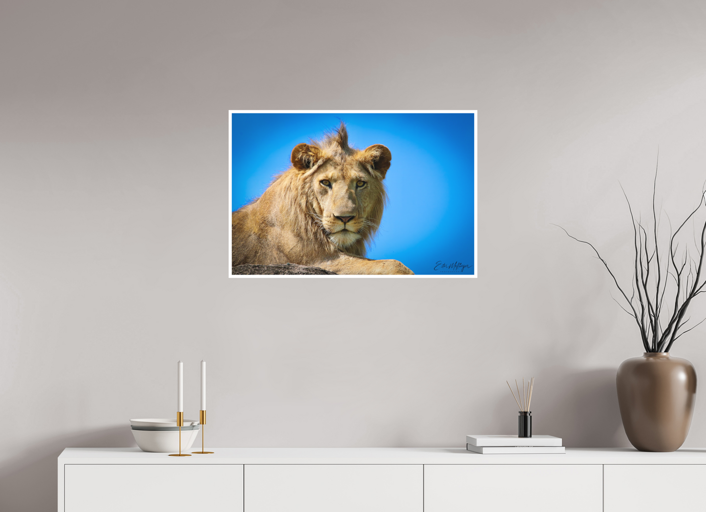 30 x 20″, Fine art print "The Monarch" - Lion of the Blue Sky