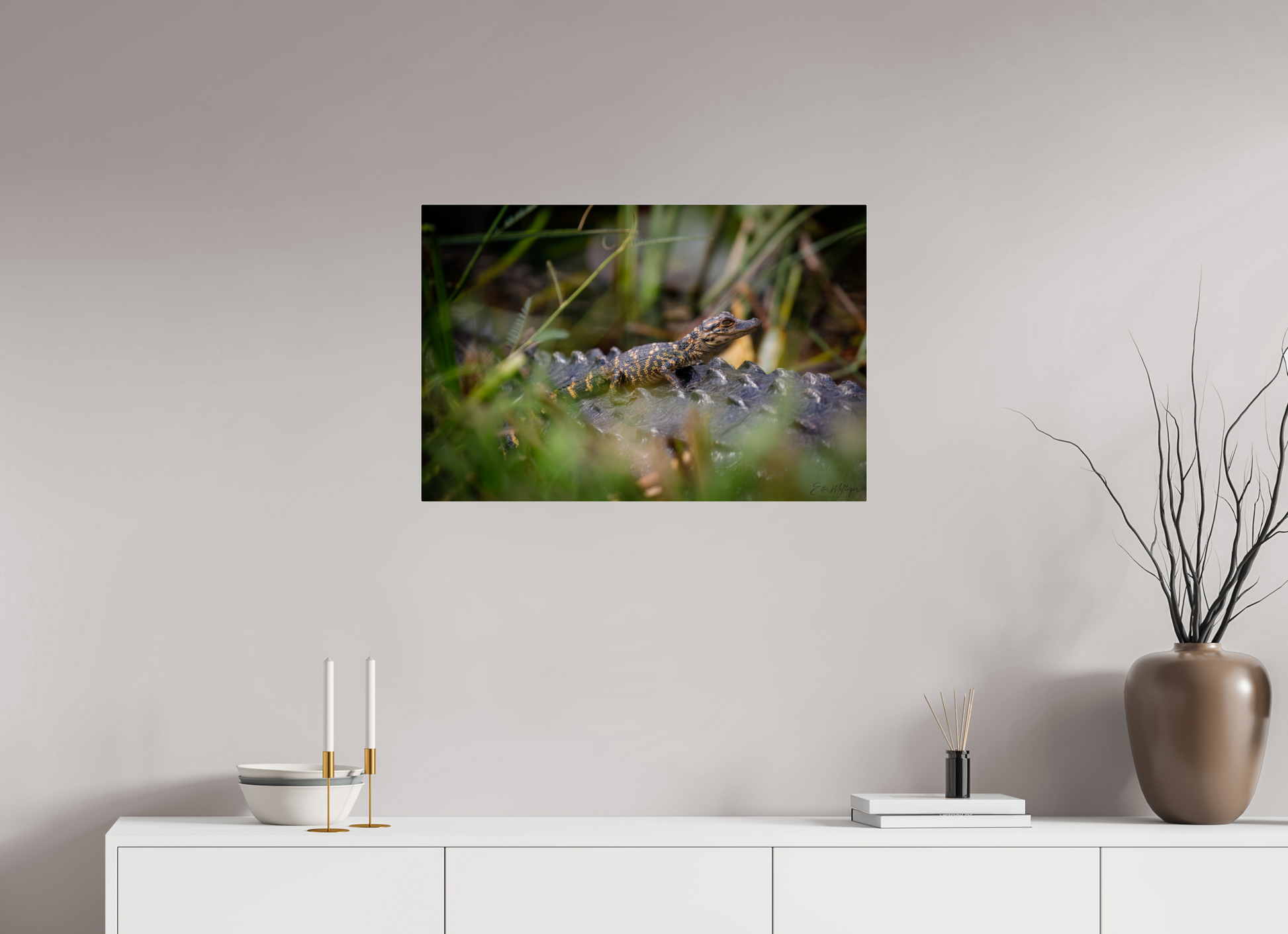 30 x 20″, Acrylic "Backseat Explorer" - Baby Alligator