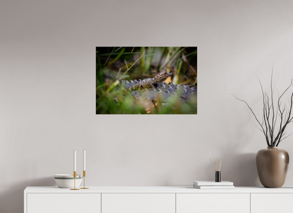 30 x 20″, Acrylic "Backseat Explorer" - Baby Alligator