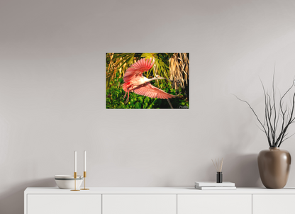 24 x 16″, Canvas "Brushstrokes of Pink" - Roseate Spoonbill
