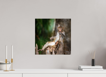 15 x 15″, Metal "Silver Song" - Rhesus Macaque