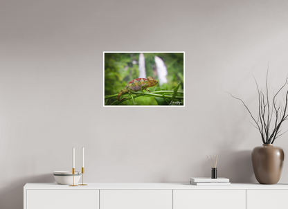 24 x 16″, Fine art print "Guardian of the Falls" - Chameleon in the Rainforest