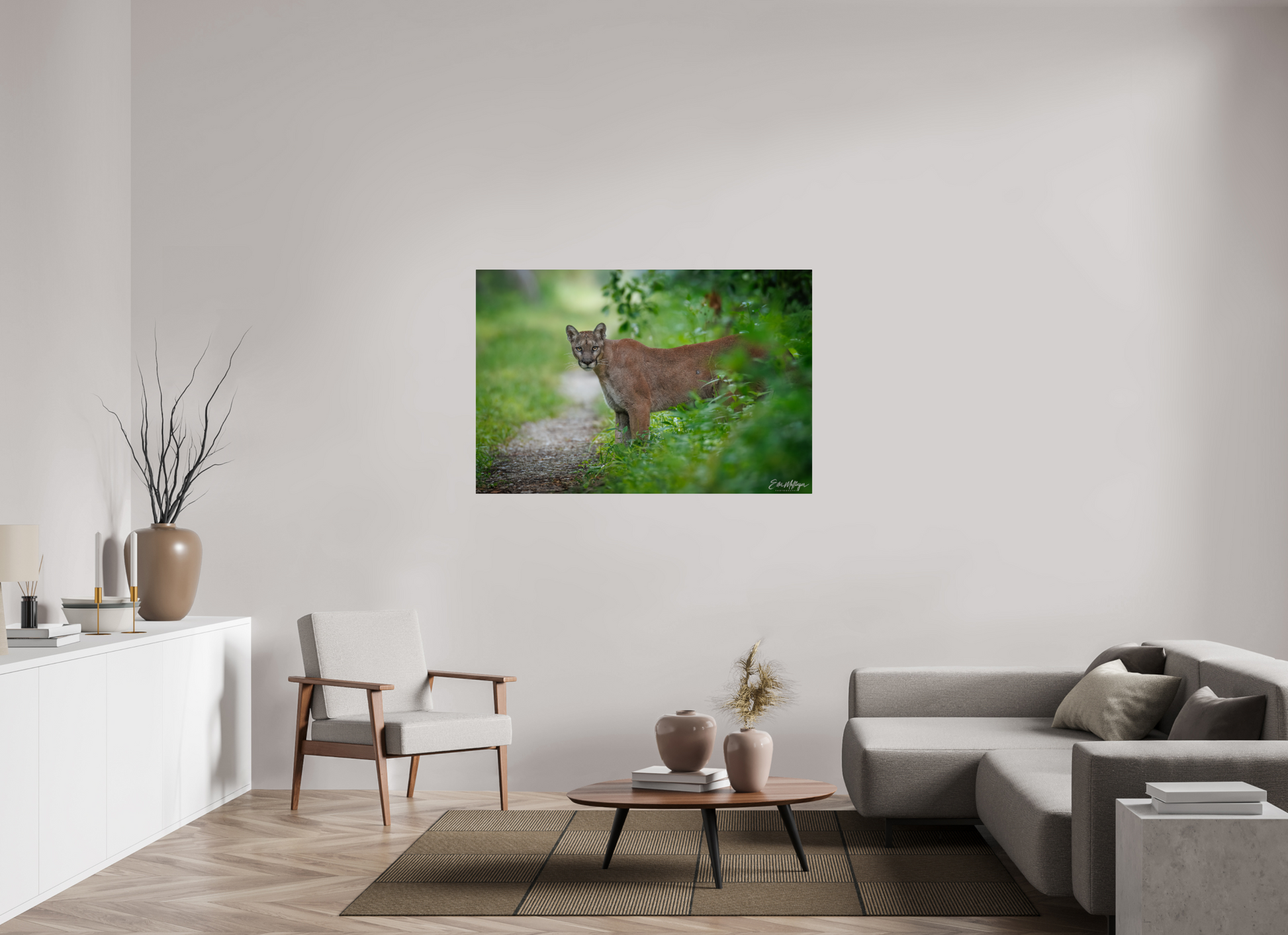 54 x 36″, Metal Ghost of the Green Forest - Florida Panther