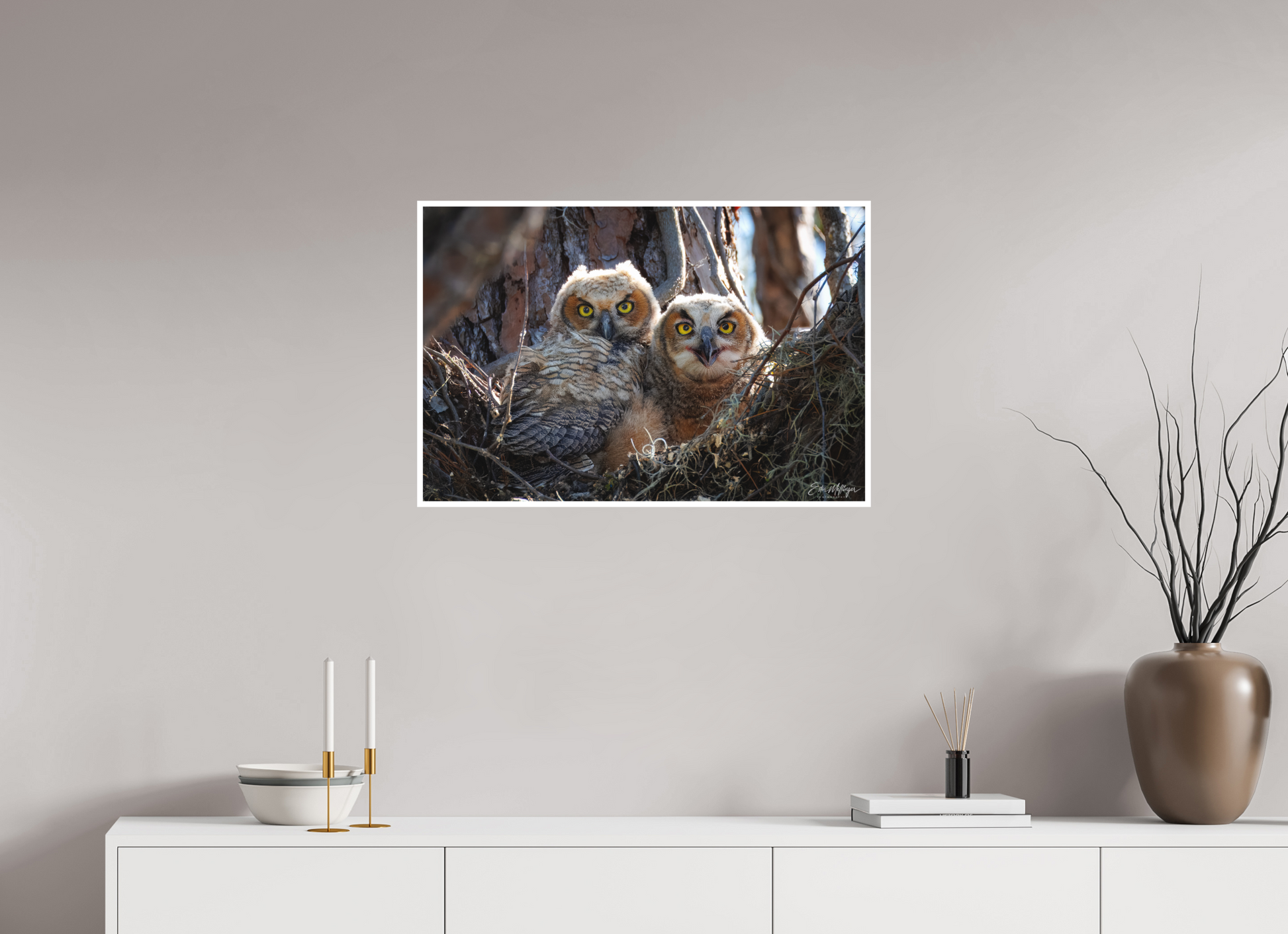 30 x 20″, Fine art print "Hidden in the Pines" - Great Horned Owlets