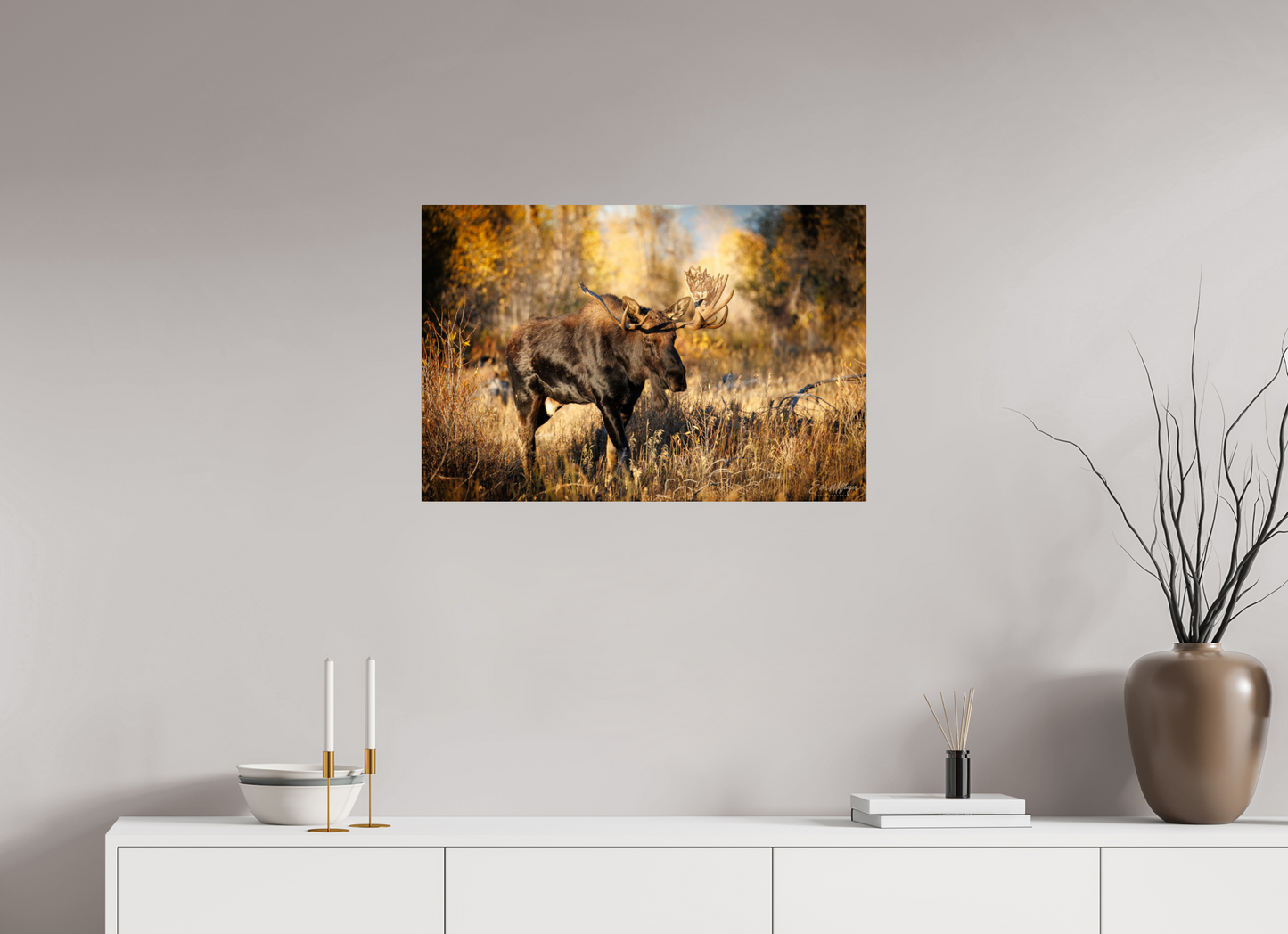30 x 20″, Metal "Monarch of Gros Ventre" - Bull Moose