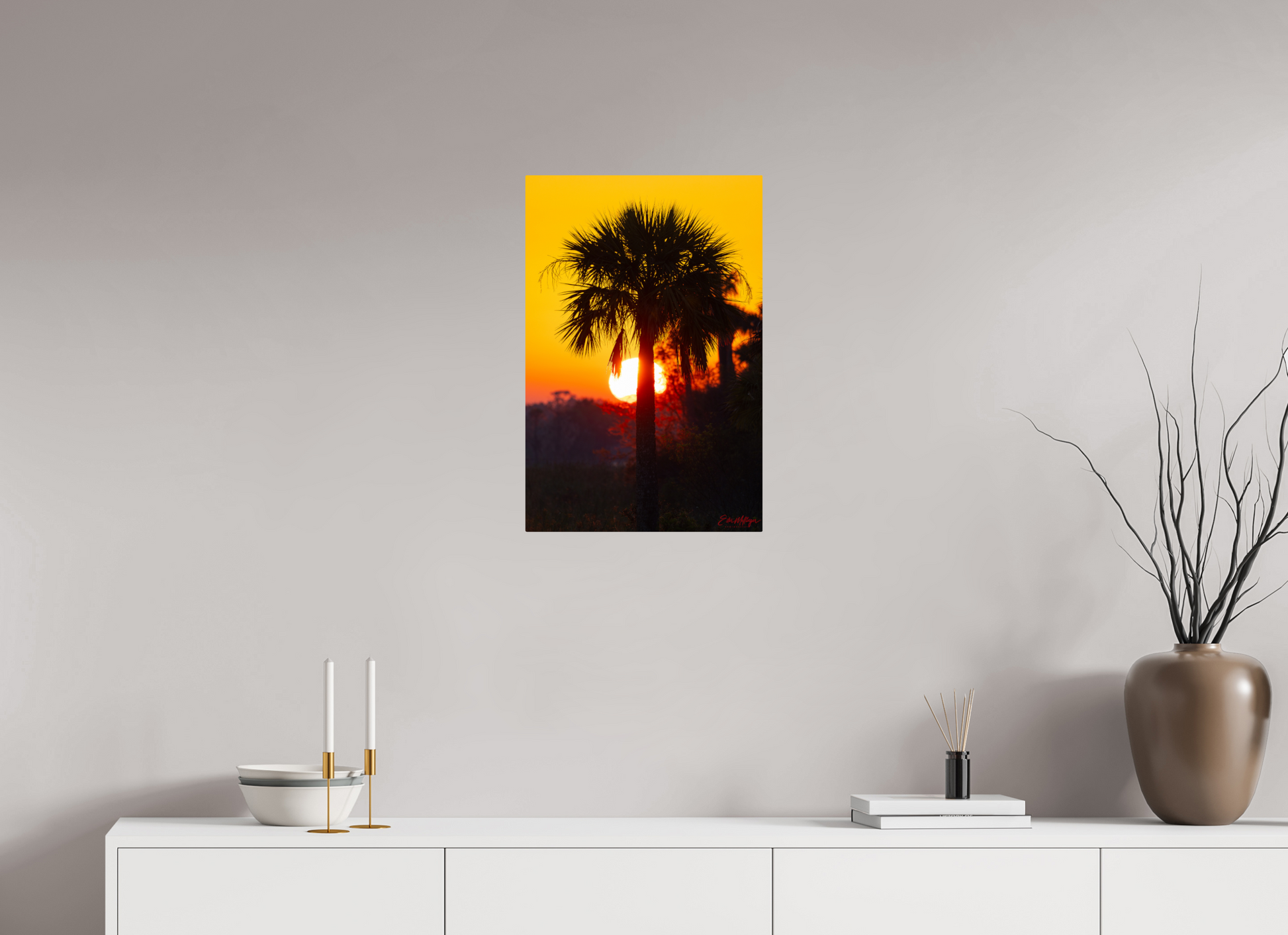 16 x 24″, Metal "Florida Awakens"