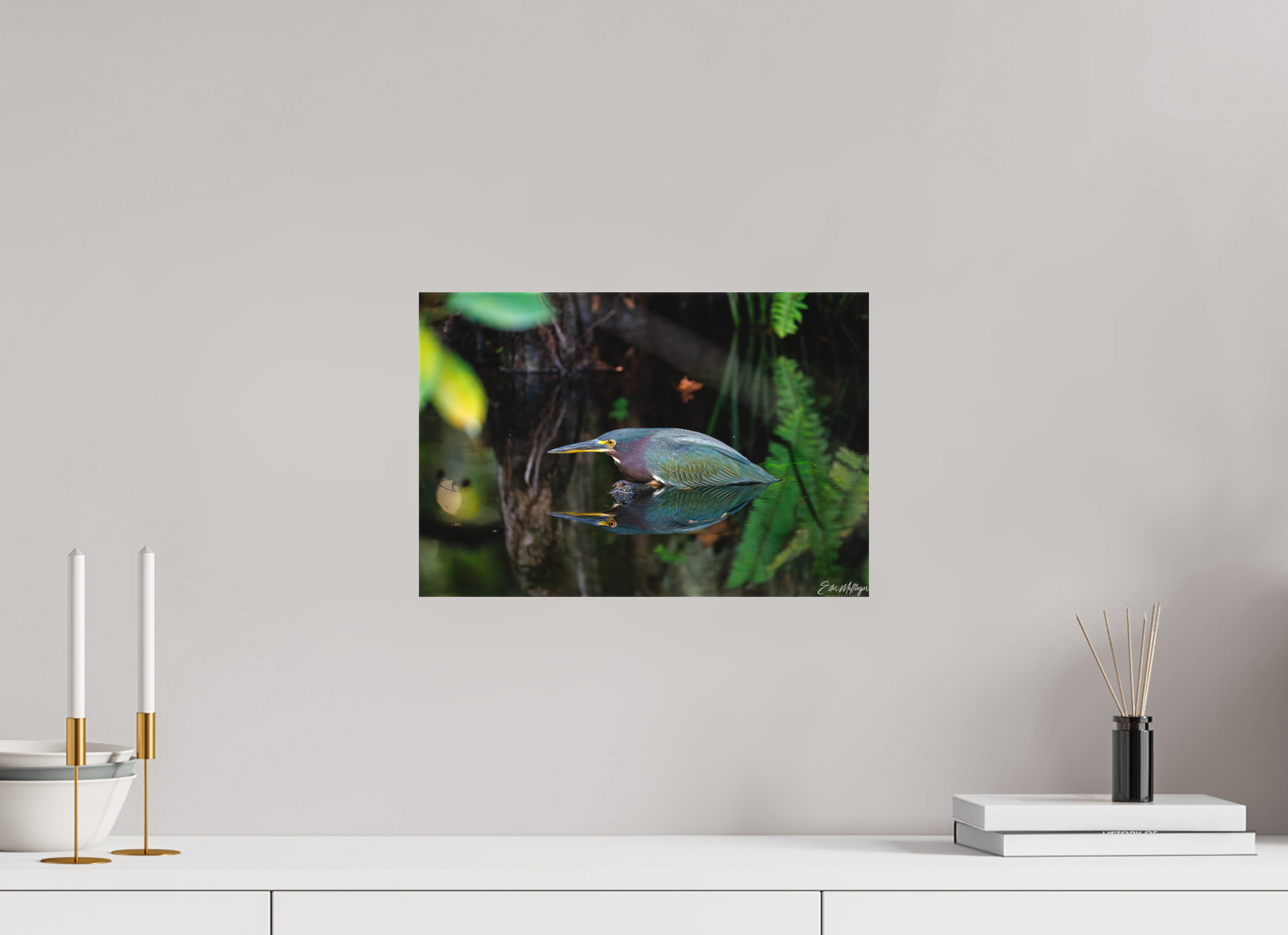 15 x 10″, Canvas "Reflections in the Cypress" - Green Heron