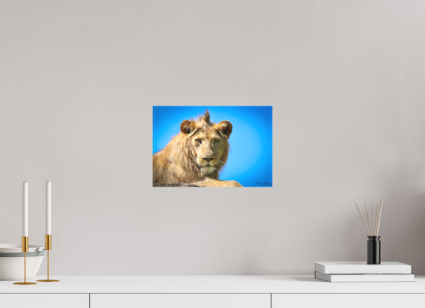 12 x 8″, Canvas "The Monarch" - Lion of the Blue Sky