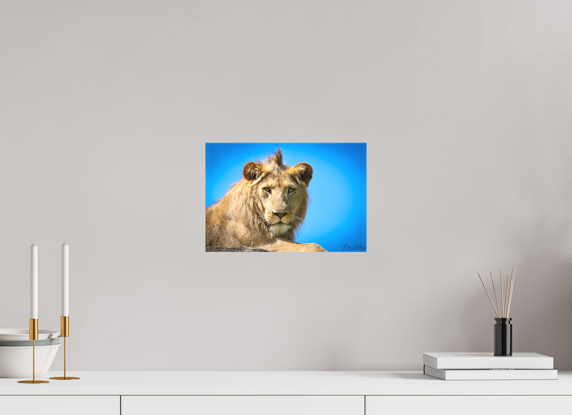 12 x 8″, Canvas "The Monarch" - Lion of the Blue Sky