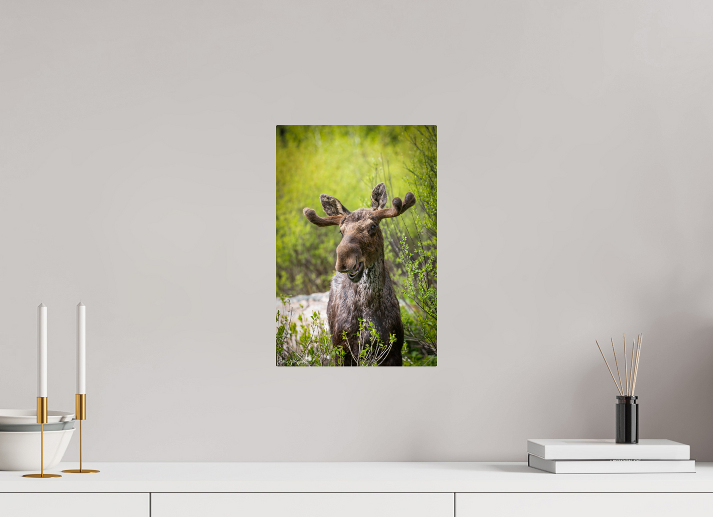 Smiling moose