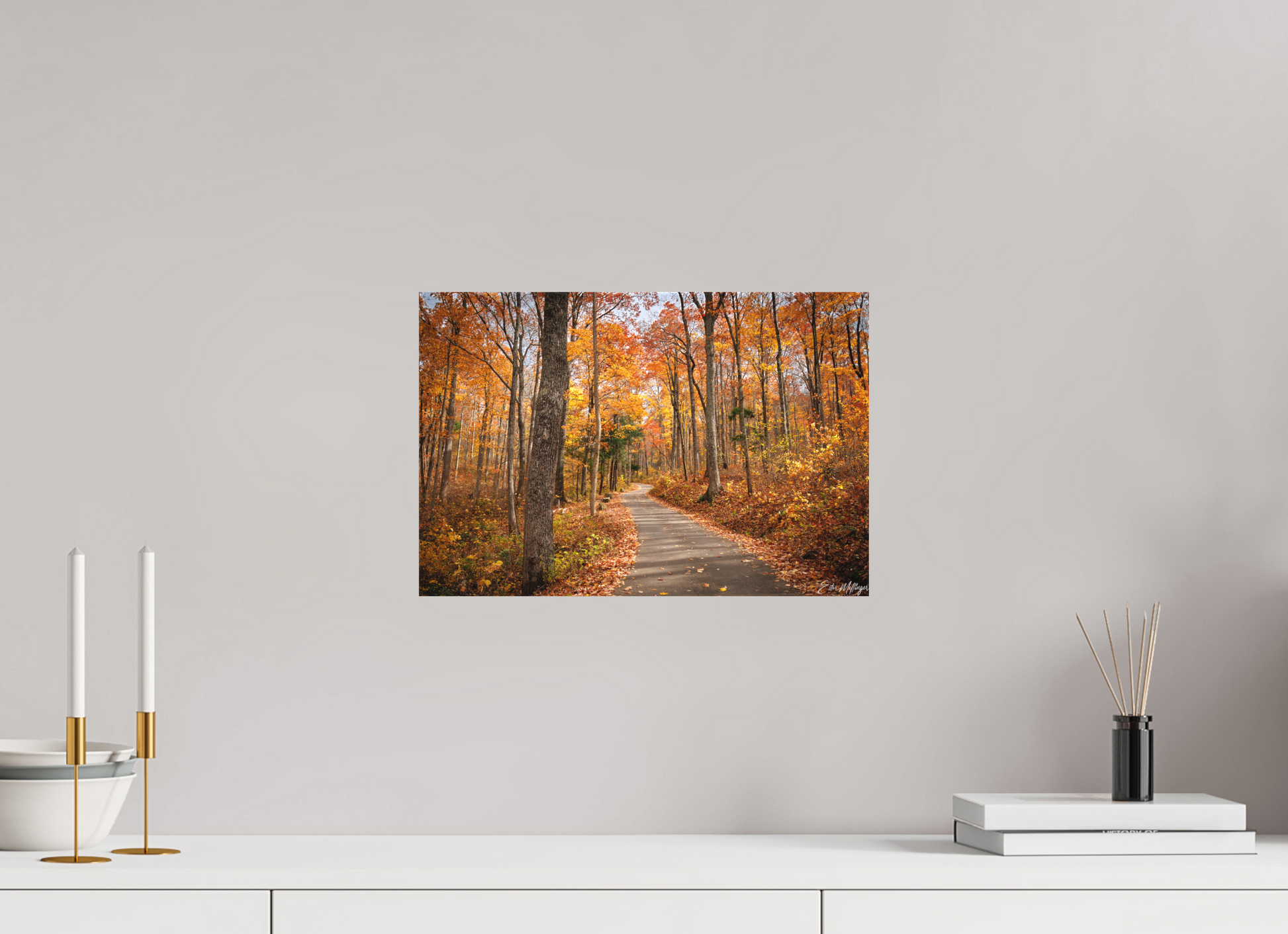 15 x 10″, Canvas "Golden Path" - Roaring Fork Road