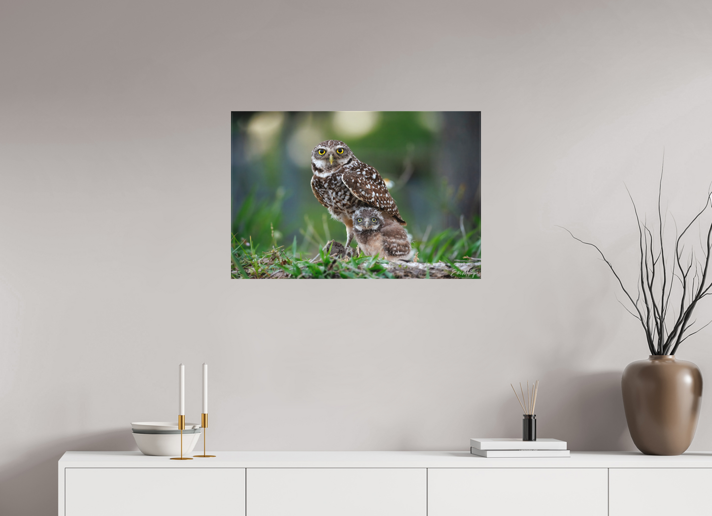 30 x 20″, Canvas "Burrowlight" - Burrowing Owls