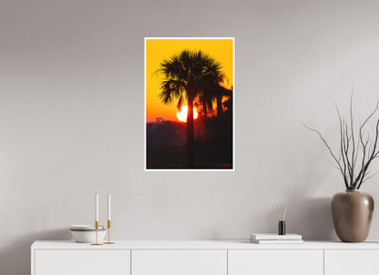 20 x 30″, Fine art print "Florida Awakens"