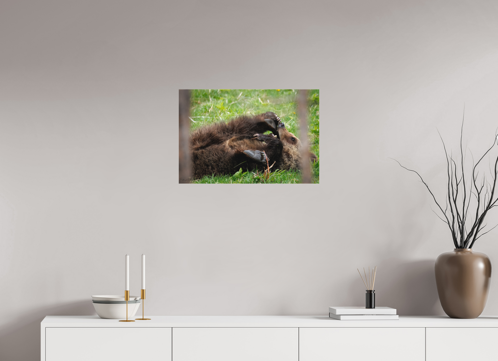 24 x 16″, Canvas "Playful Beginnings" - Grizzly Bear