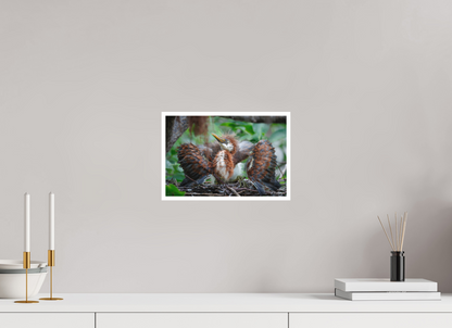 12 x 8″, Fine art print "Finding My Wings" - Tricolored Heron