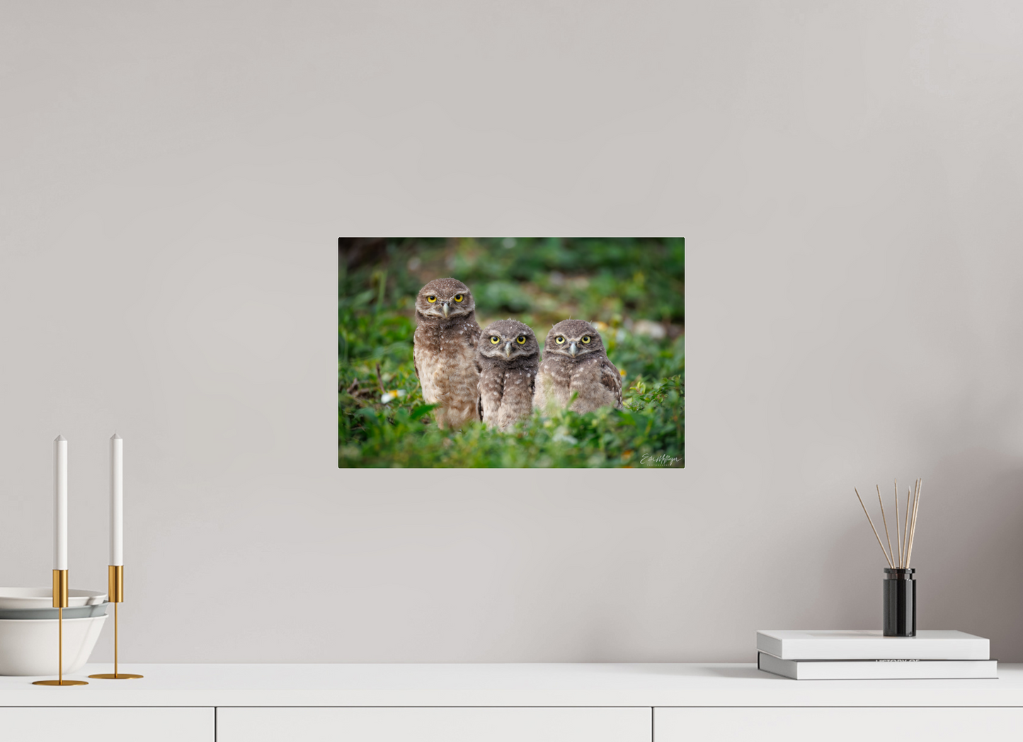 15 x 10″, Acrylic Three Little Burrowing Owls - Burrowing Owls