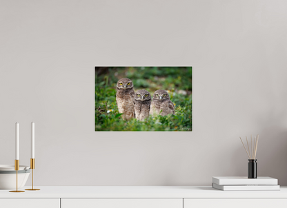15 x 10″, Acrylic Three Little Burrowing Owls - Burrowing Owls