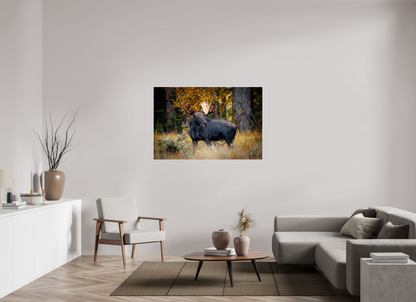 54 x 36″, Metal "Guardian of the Gros Ventre" - Bull moose