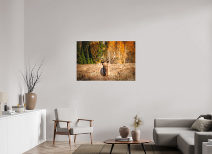 45 x 30″, Canvas "Autumn Sentinel" - Bull Elk
