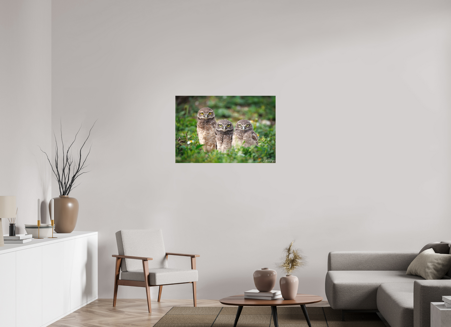 36 x 24″, Canvas Three Little Burrowing Owls - Burrowing Owls